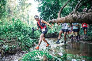 BIB: 
                            <button type="button" onclick="openModal(25454501)" class="btn btn-primary btn-sm float-right btn-popup" data-toggle="modal" data-target=".modal-high-quality">
                        <i class="fas fa-shopping-cart"></i> Add to Cart
                    </button>
                                            <button type="button" onclick="isThisMe(25454501, true)" class="btn btn-success btn-sm float-right btn-popup btn-isme hidden" data-toggle="tooltip" data-placement="bottom" title="นี่คือรูปของคุณใช่ไหม คลิกที่นี่เพื่อเอาเข้าอัลบั้ม">
                        <i class="fas fa-plus"></i> Add to album
                    </button>
                    <button type="button" onclick="isThisMe(25454501, false)" class="btn btn-warning btn-sm float-right btn-popup btn-isnotme hidden">
                        <i class="fas fa-ban"></i> Remove from album
                    </button>